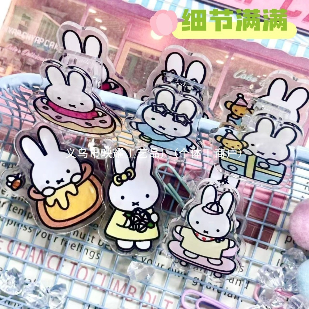 6 個のかわいいミッフィーアクリル両面 PP クリップ実用的 - Food Grocery Snacks のレビューと価格