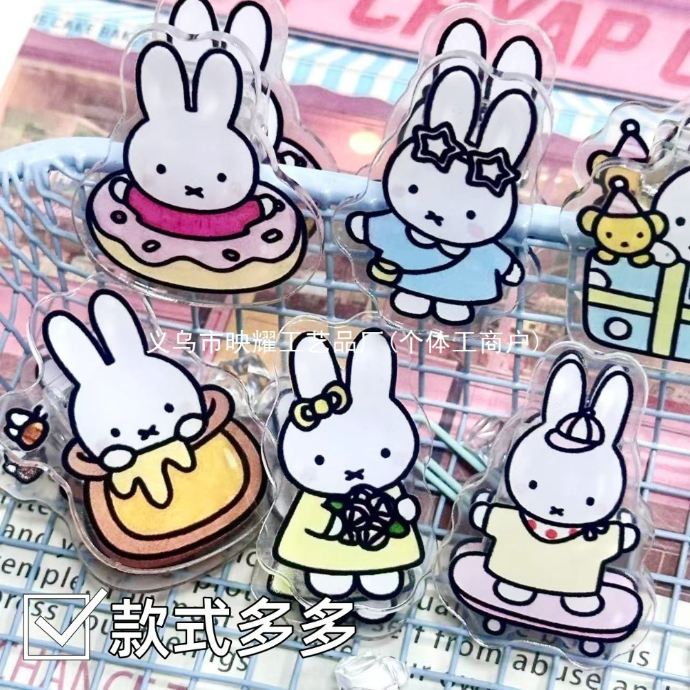 6 個のかわいいミッフィーアクリル両面 PP クリップ実用的 - Food Grocery Snacks のレビューと価格