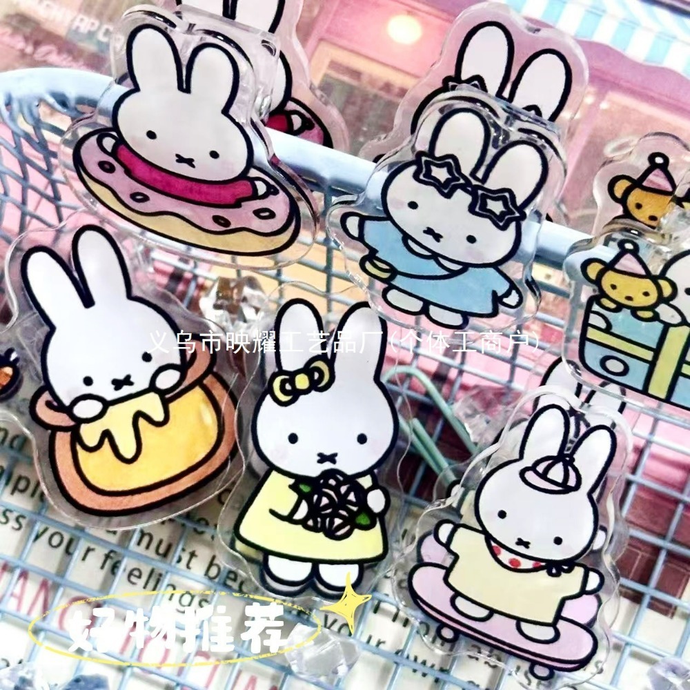 6 個のかわいいミッフィーアクリル両面 PP クリップ実用的 - Food Grocery Snacks のレビューと価格