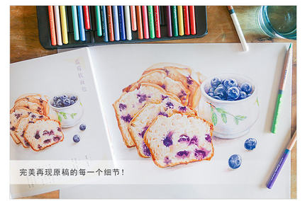色鉛筆描画ブック32クラシックおいしい食品鉛筆絵画テキスト学 - Food Snacks Coloring Book のレビューと価格