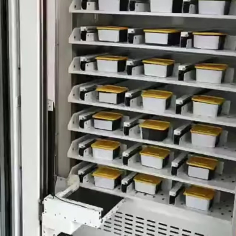 カスタマイズ可能な温かい食品ランチボックス＆パック入りすぐに - Food Snacks To Eat のレビューと価格